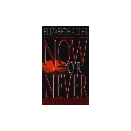 Now or Never/ Adler E.