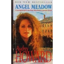 Angel meadow/ Howard A.