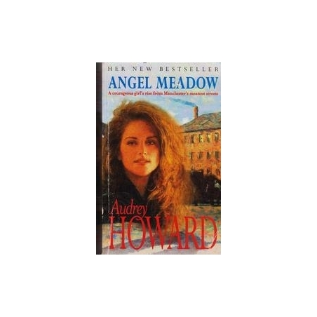 Angel meadow/ Howard A.