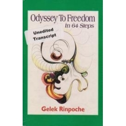 Odyssey to Freedom in 64 Steps/ Rinpoche G.