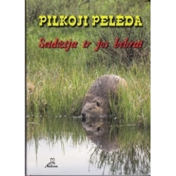 Seidžija ir jos bebrai/ Pilkoji Pelėda