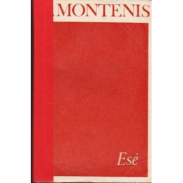 Esė / M. Montenis